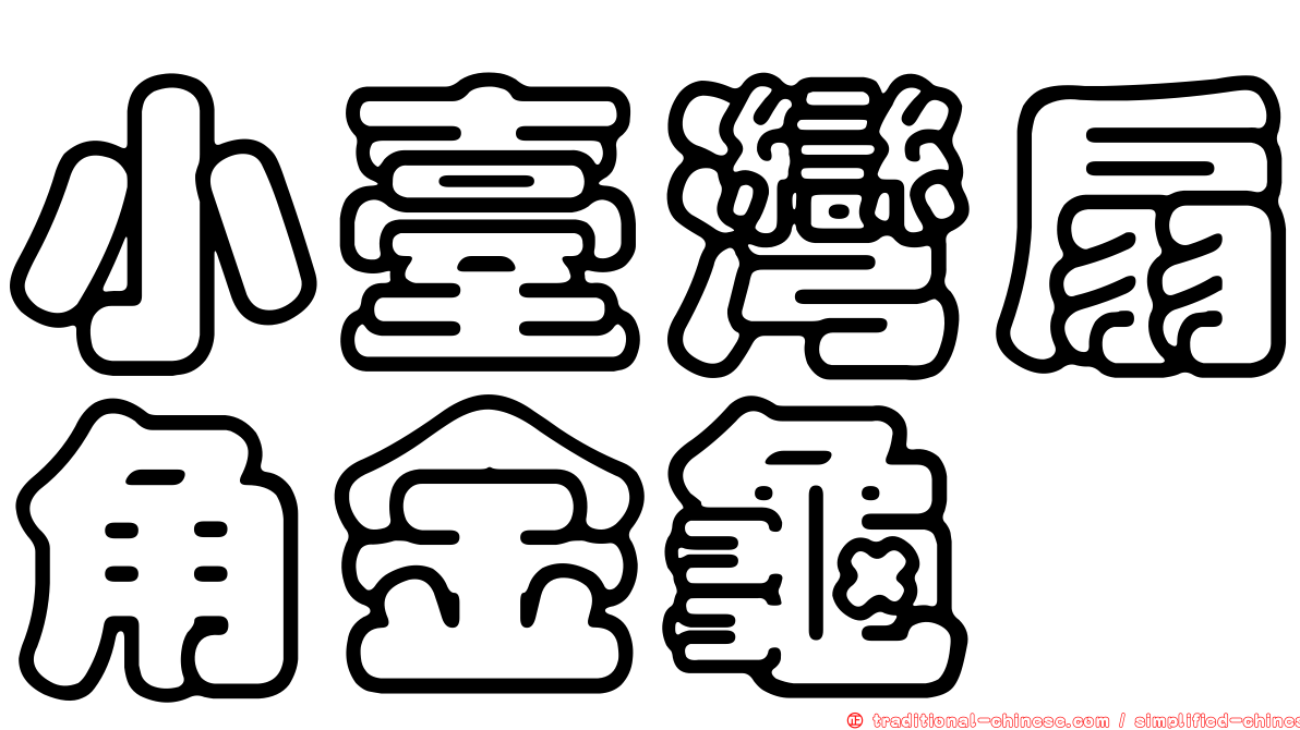 小臺灣扇角金龜