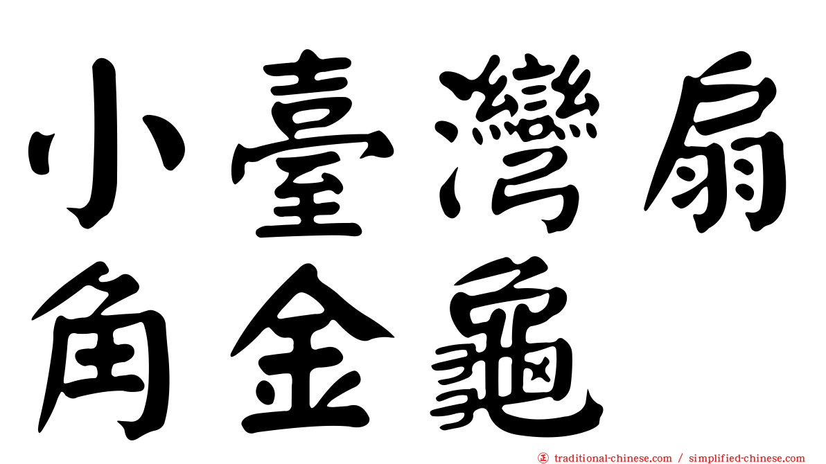 小臺灣扇角金龜