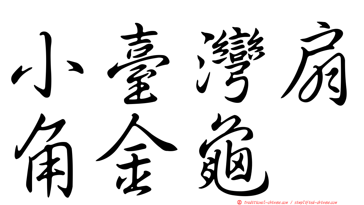 小臺灣扇角金龜