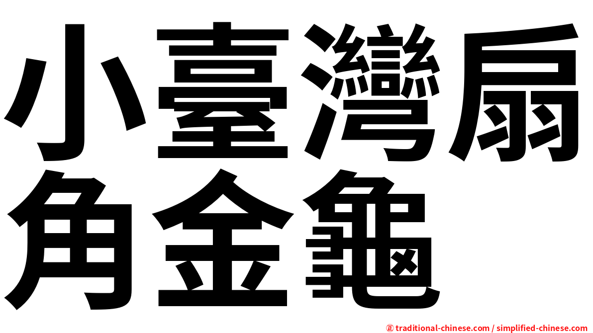 小臺灣扇角金龜