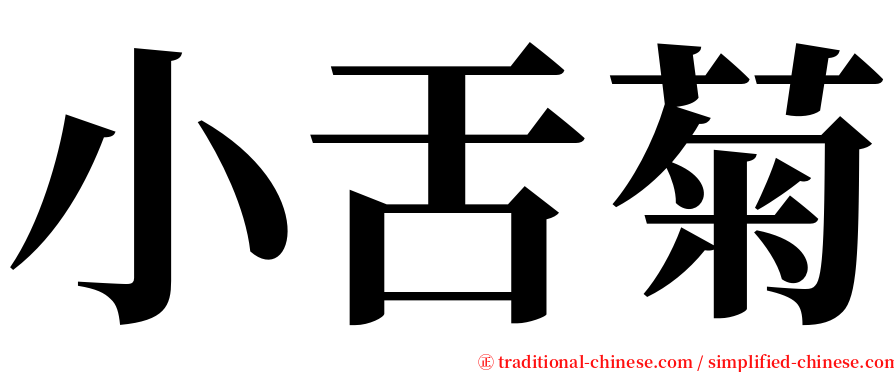 小舌菊 serif font
