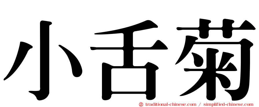 小舌菊