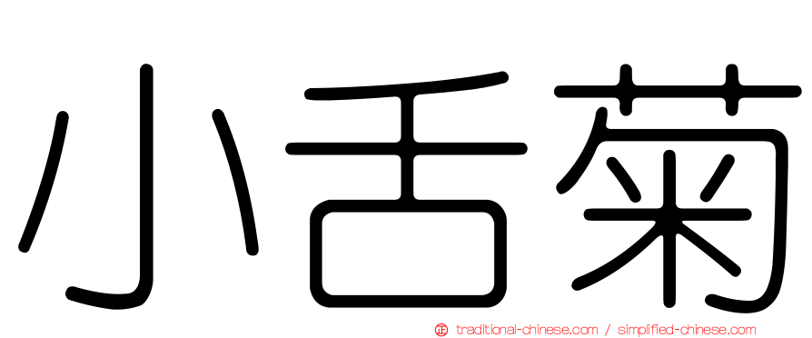 小舌菊