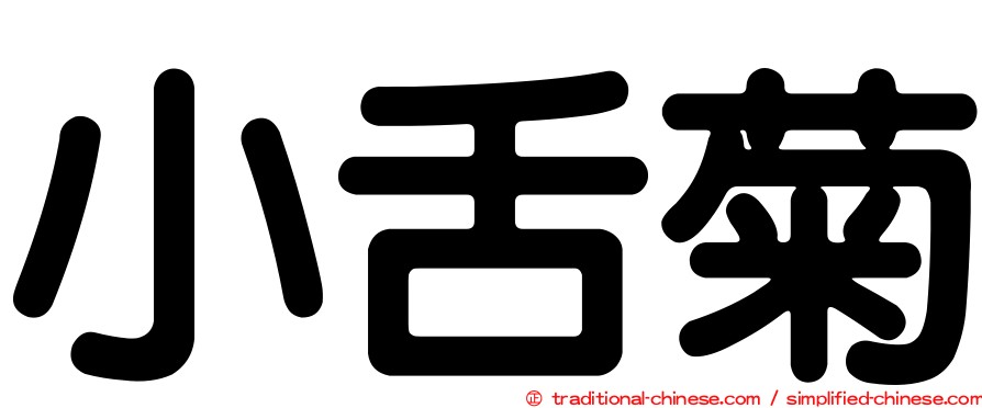 小舌菊