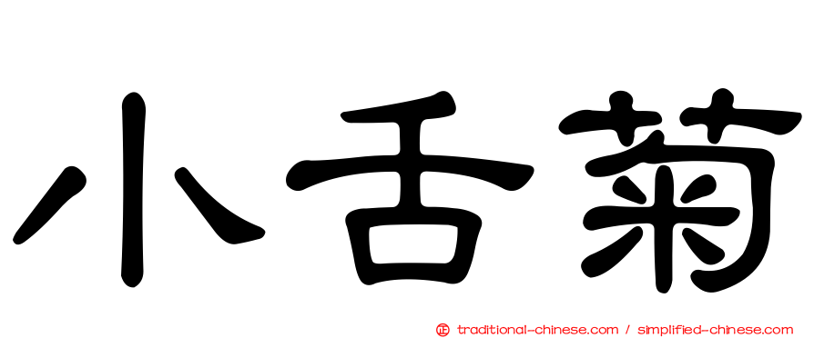 小舌菊