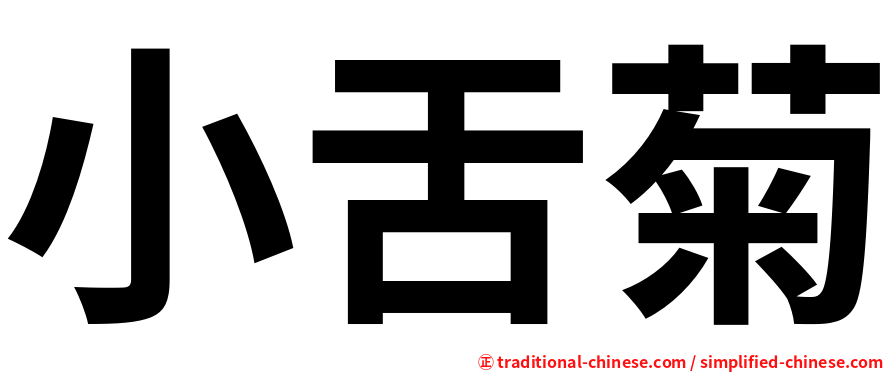 小舌菊