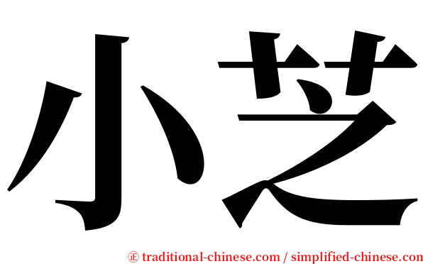 小芝 serif font
