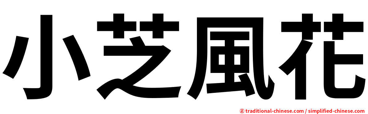 小芝風花