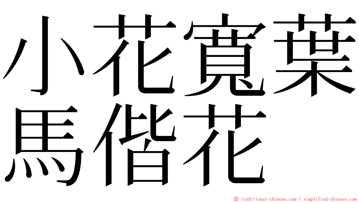 小花寬葉馬偕花 ming font