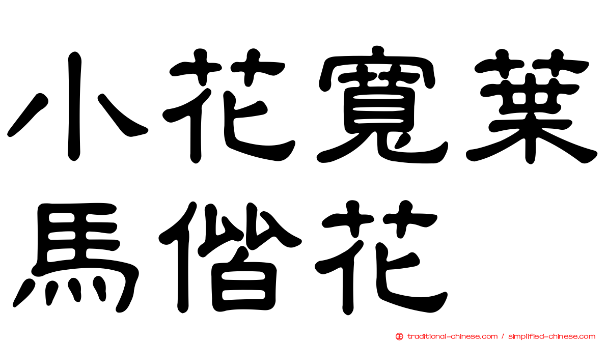 小花寬葉馬偕花