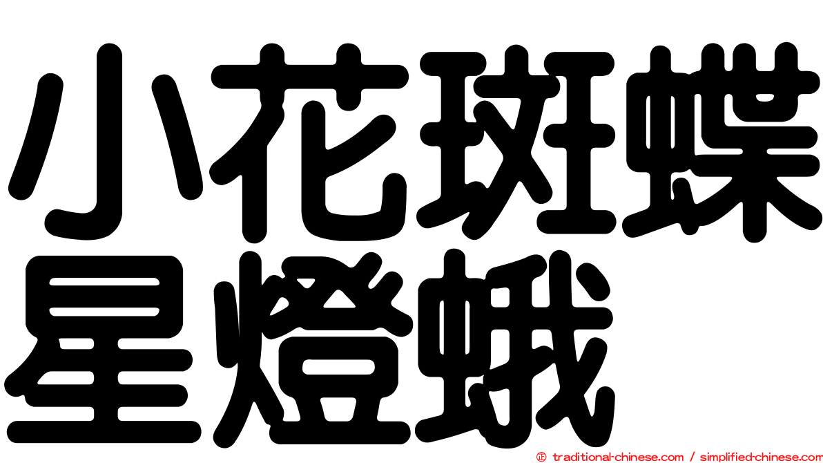 小花斑蝶星燈蛾