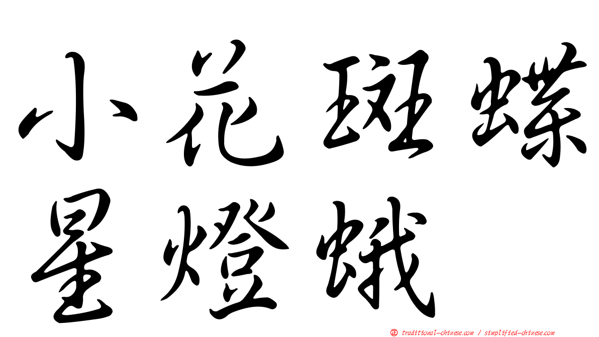 小花斑蝶星燈蛾