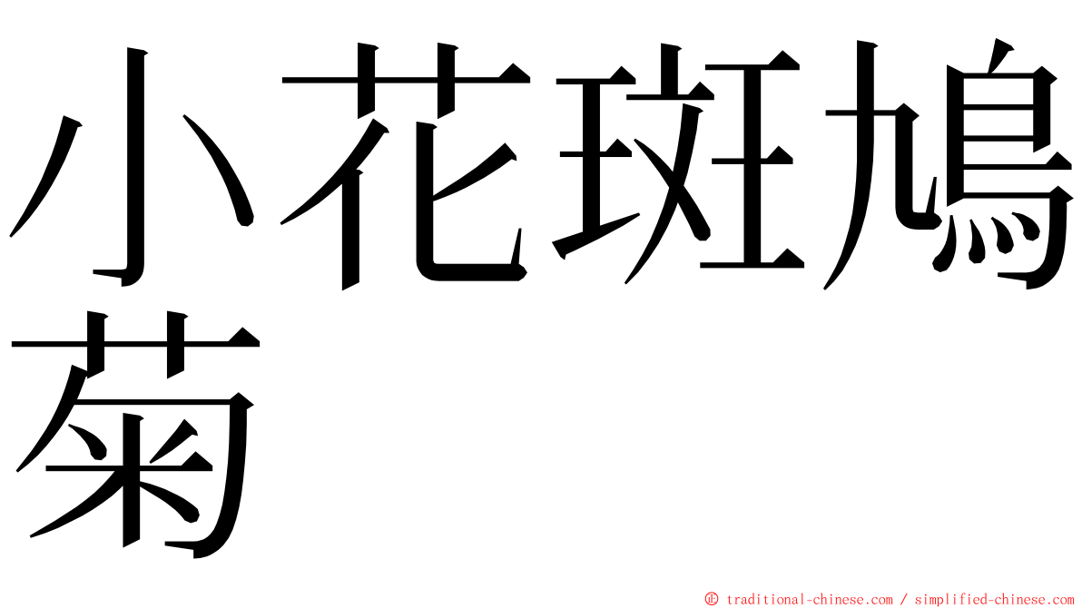 小花斑鳩菊 ming font