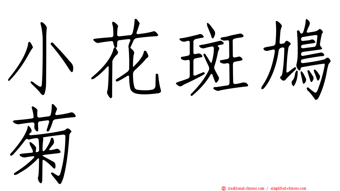 小花斑鳩菊