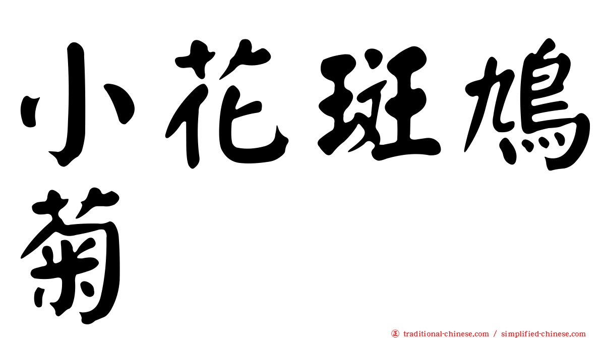 小花斑鳩菊