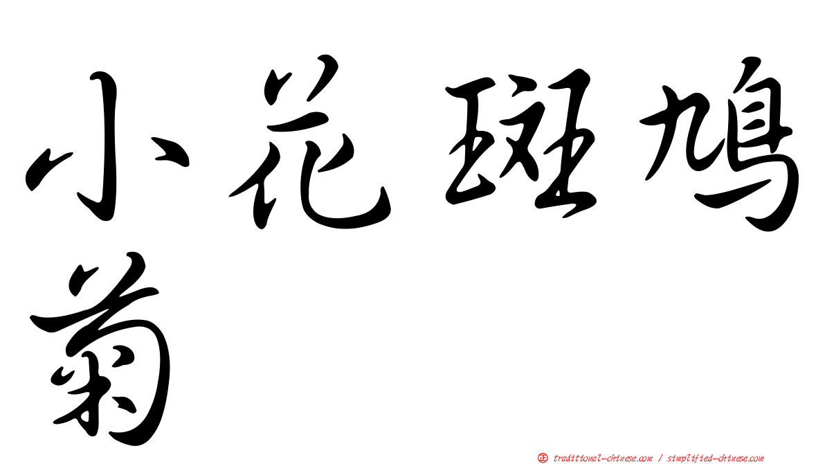 小花斑鳩菊
