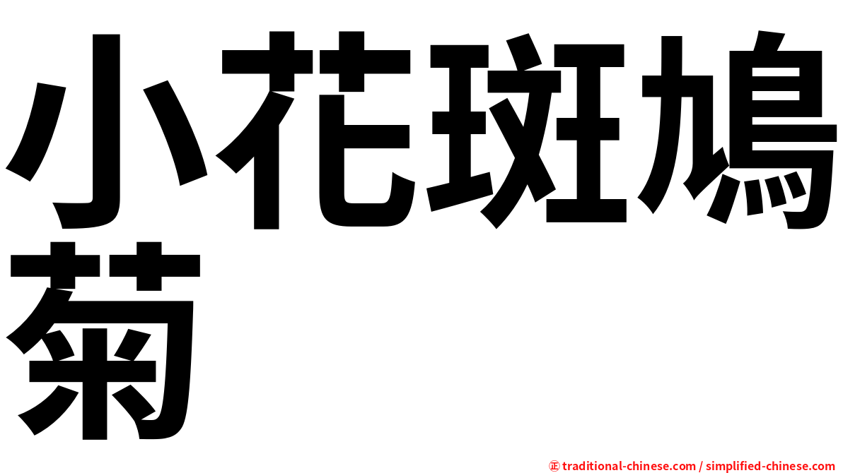 小花斑鳩菊