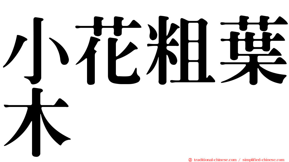 小花粗葉木