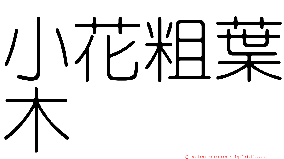 小花粗葉木