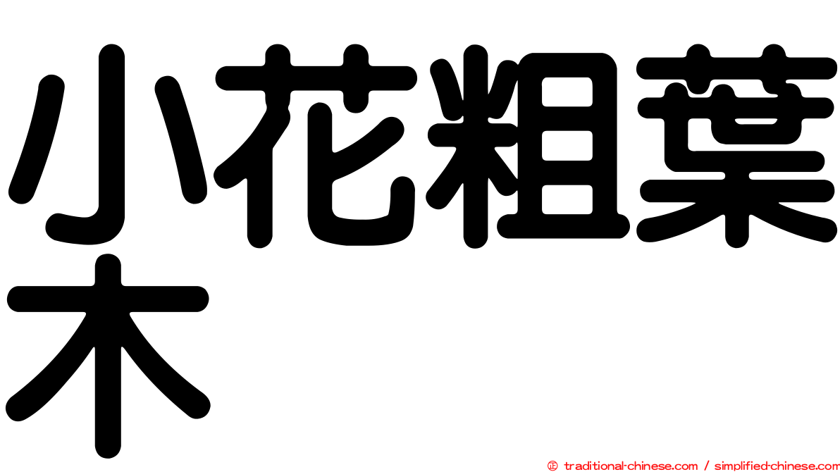 小花粗葉木