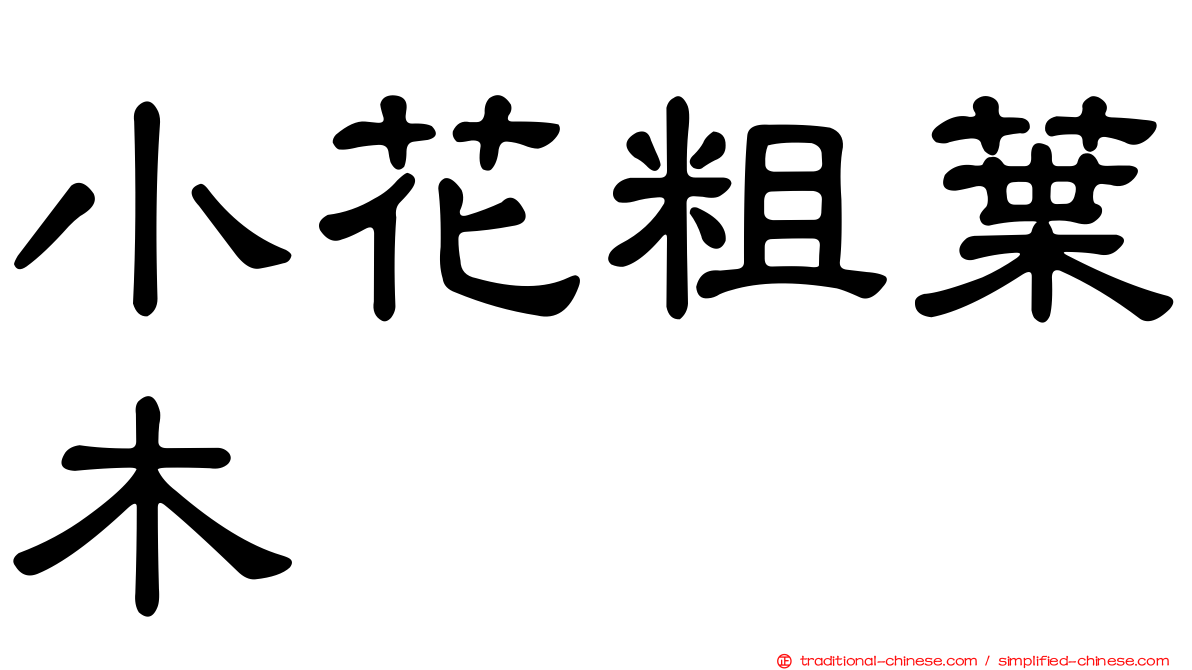 小花粗葉木