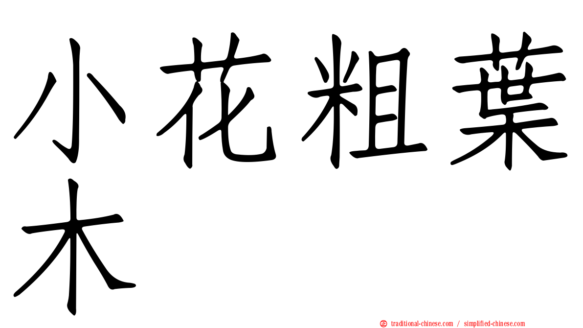 小花粗葉木