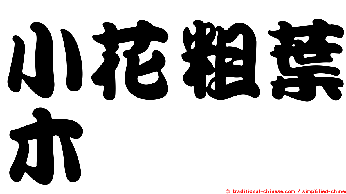 小花粗葉木