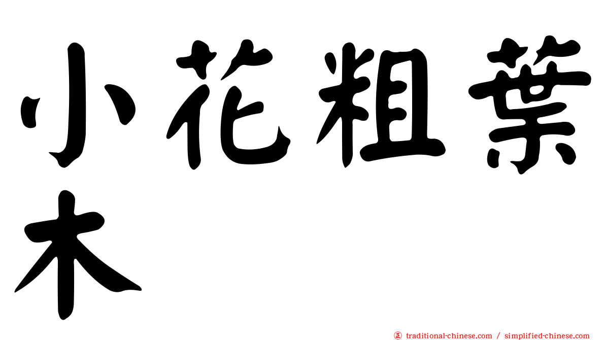 小花粗葉木