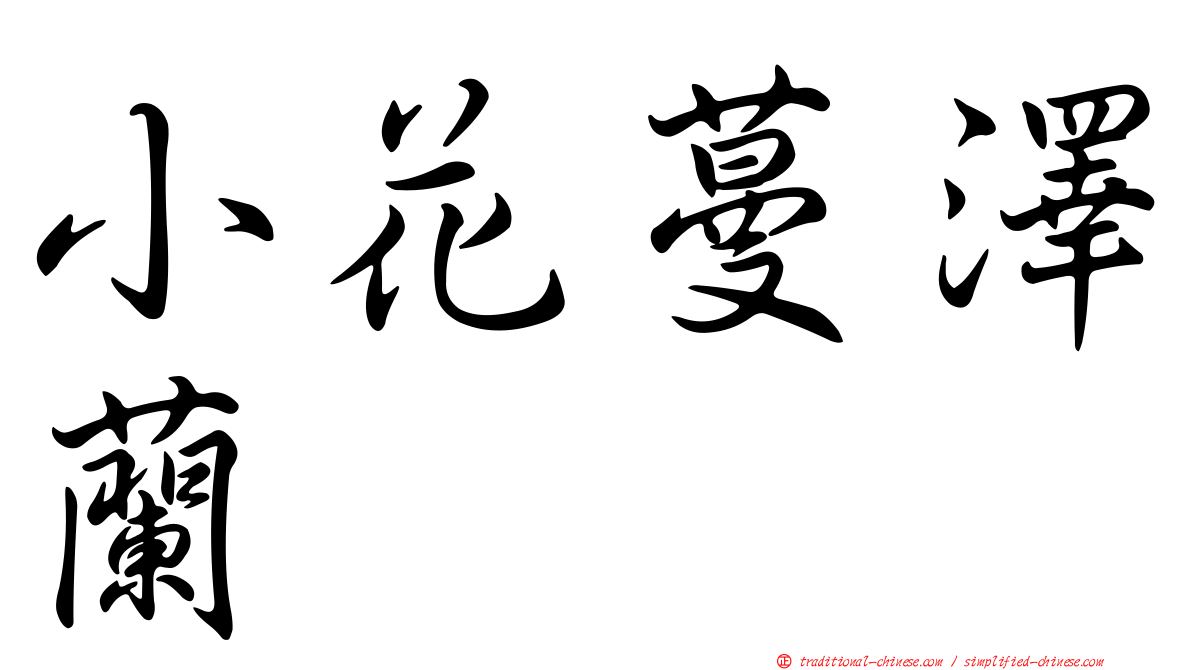 小花蔓澤蘭