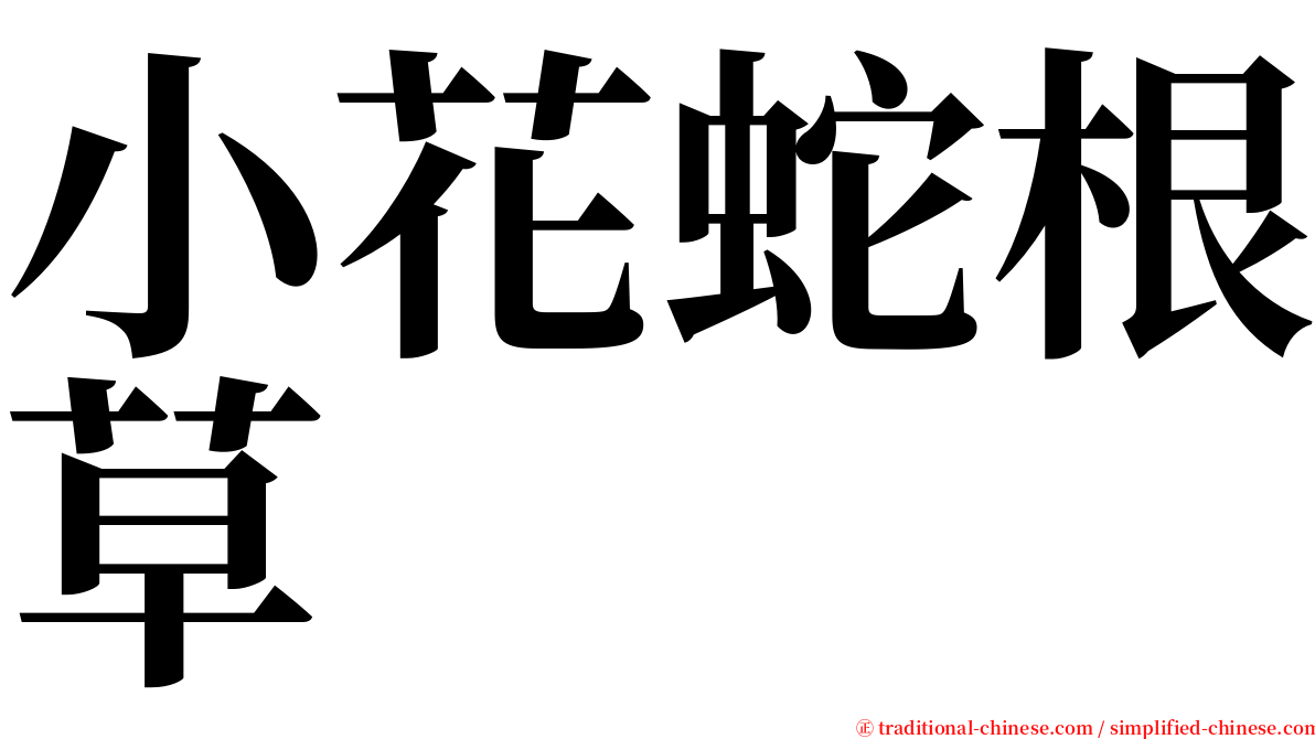 小花蛇根草 serif font