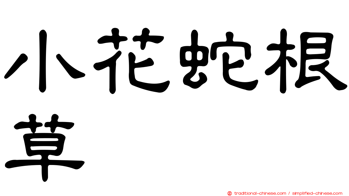 小花蛇根草