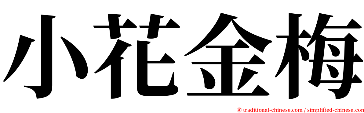 小花金梅 serif font