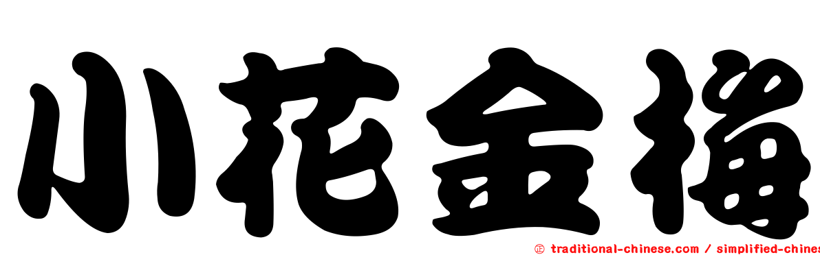 小花金梅