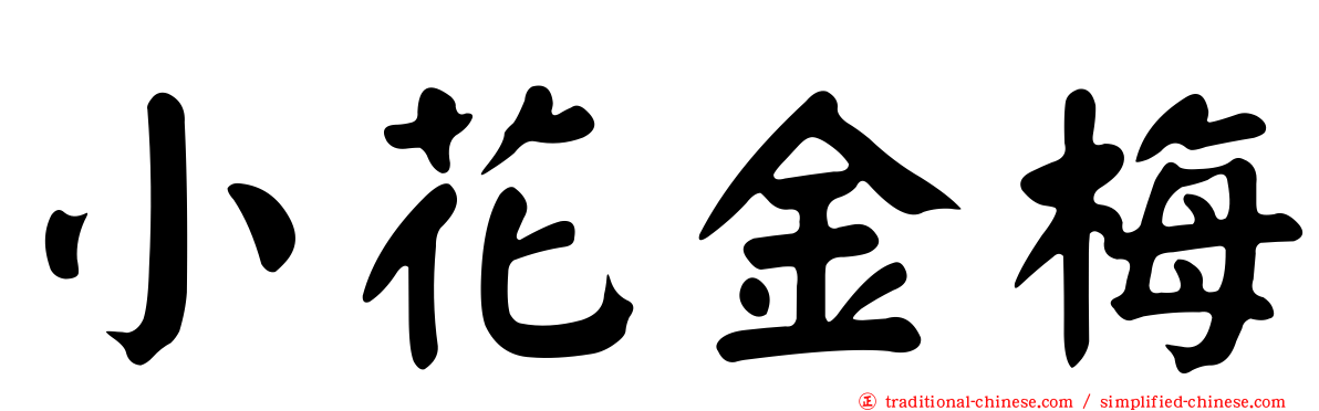 小花金梅