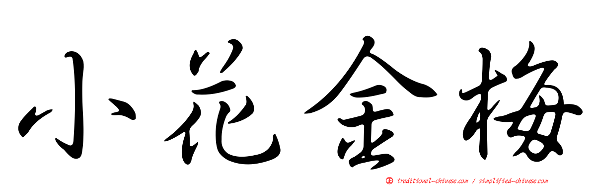 小花金梅