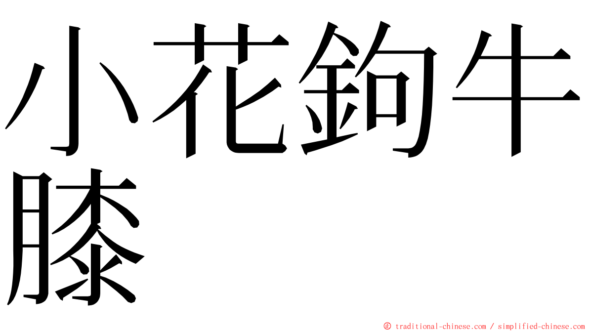 小花鉤牛膝 ming font