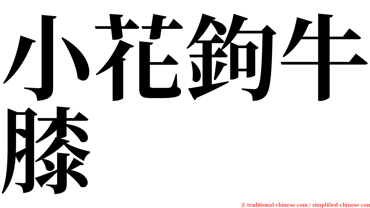 小花鉤牛膝 serif font