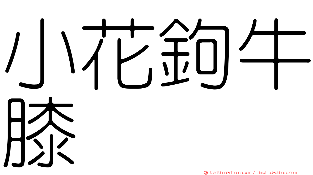 小花鉤牛膝