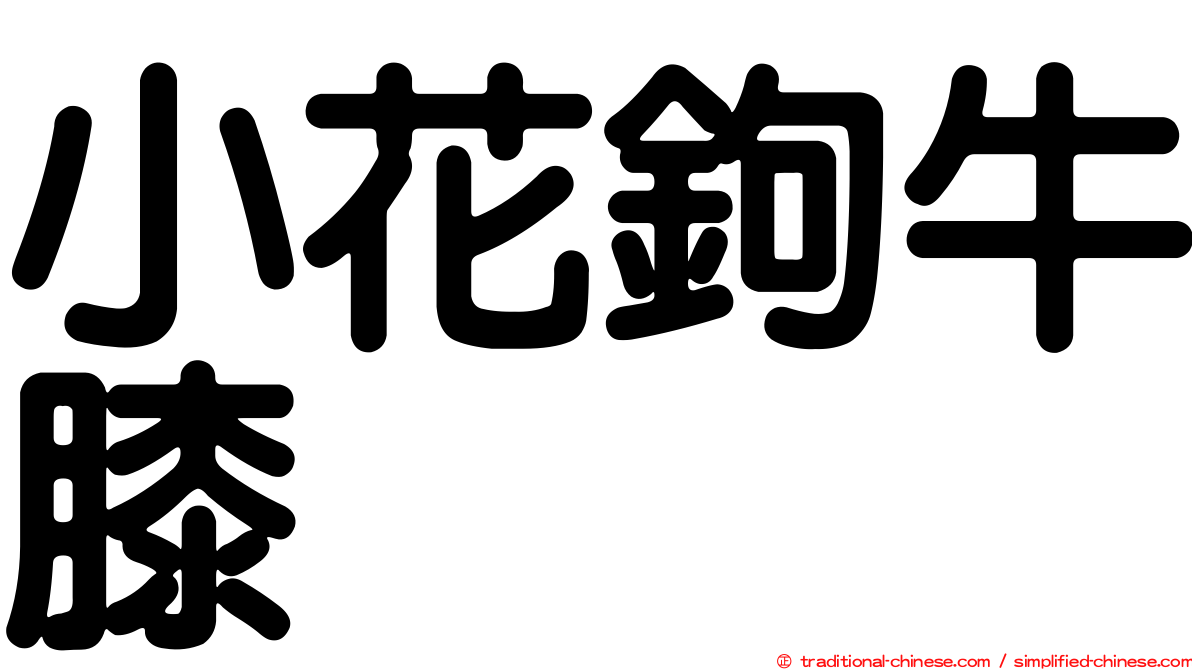 小花鉤牛膝