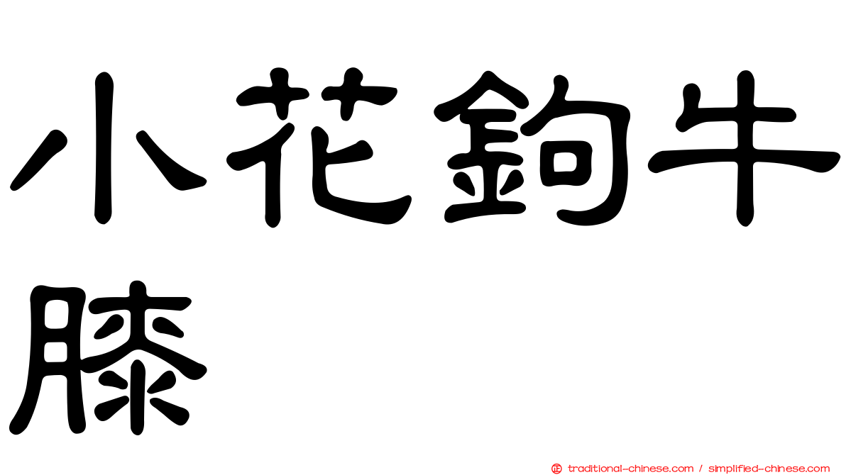 小花鉤牛膝