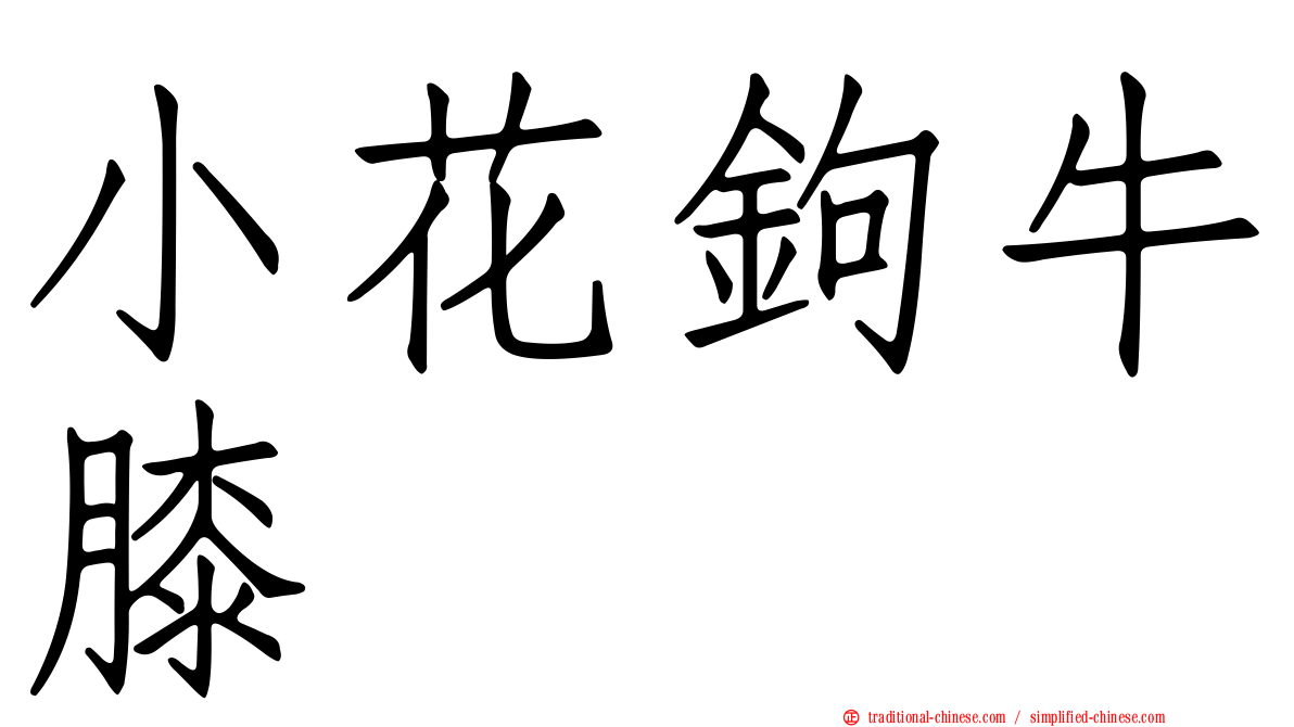 小花鉤牛膝