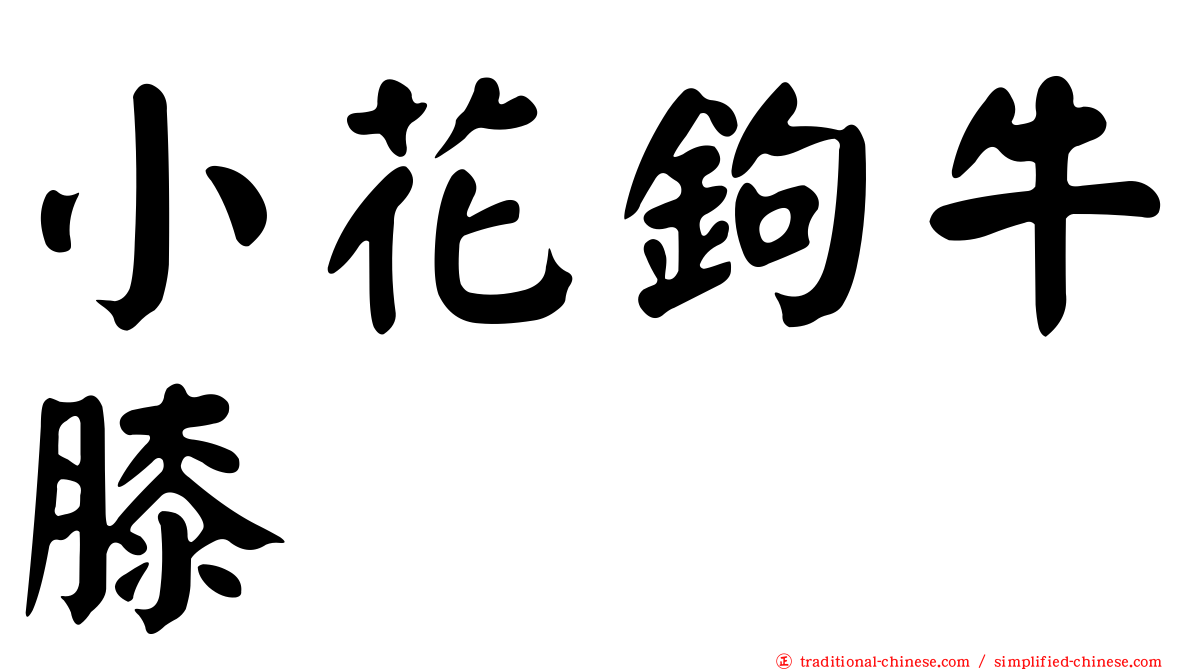 小花鉤牛膝