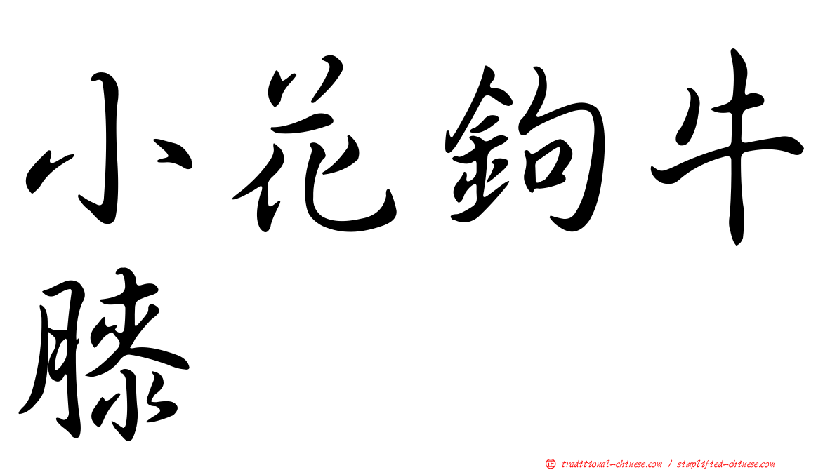 小花鉤牛膝