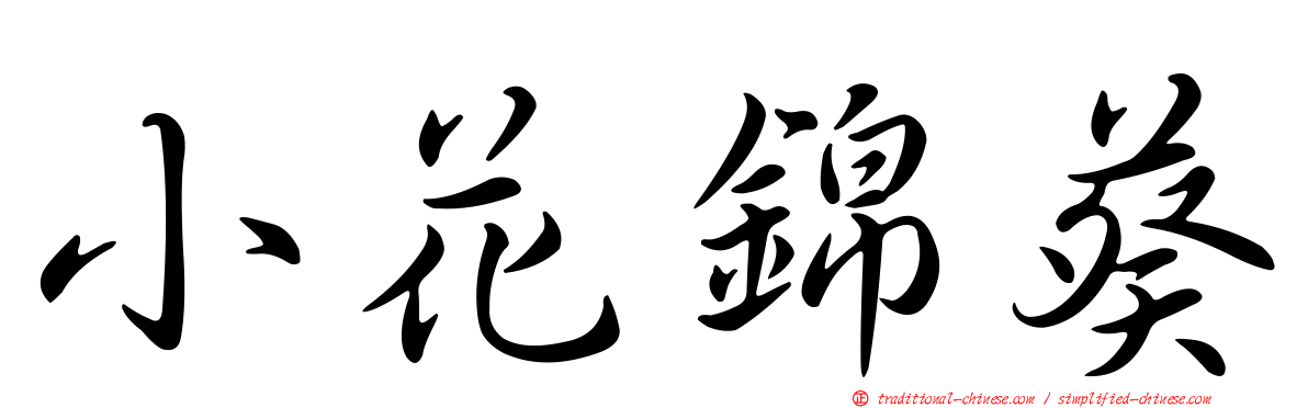 小花錦葵