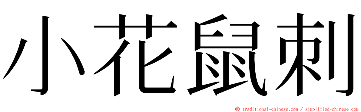 小花鼠刺 ming font