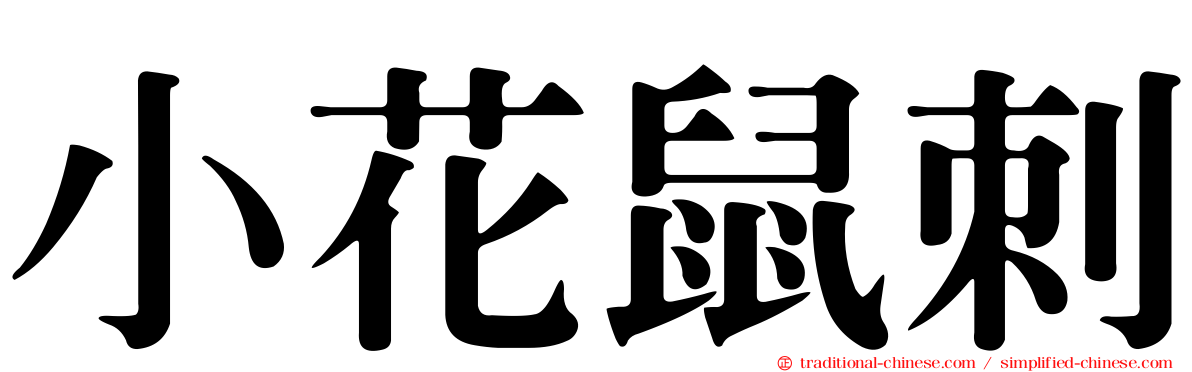 小花鼠刺