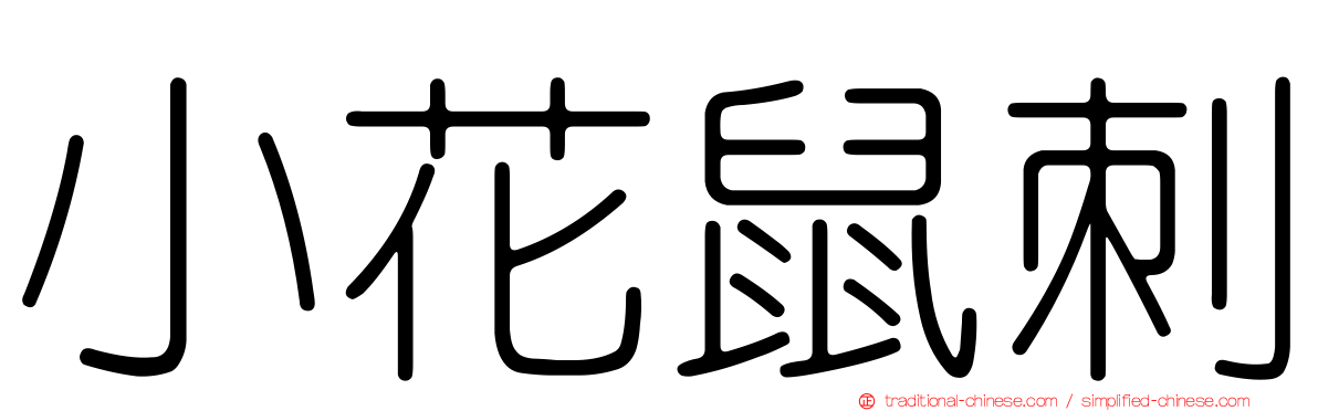 小花鼠刺