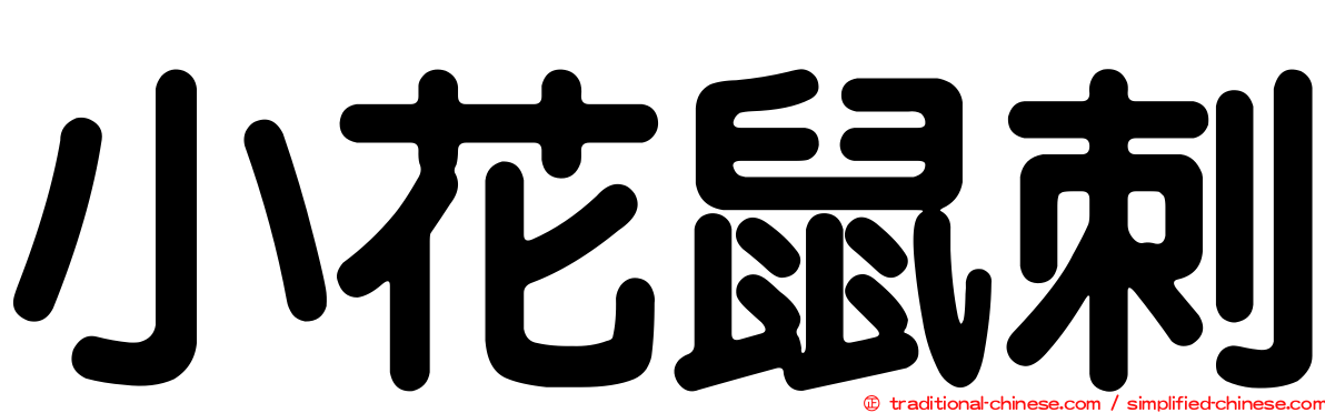 小花鼠刺