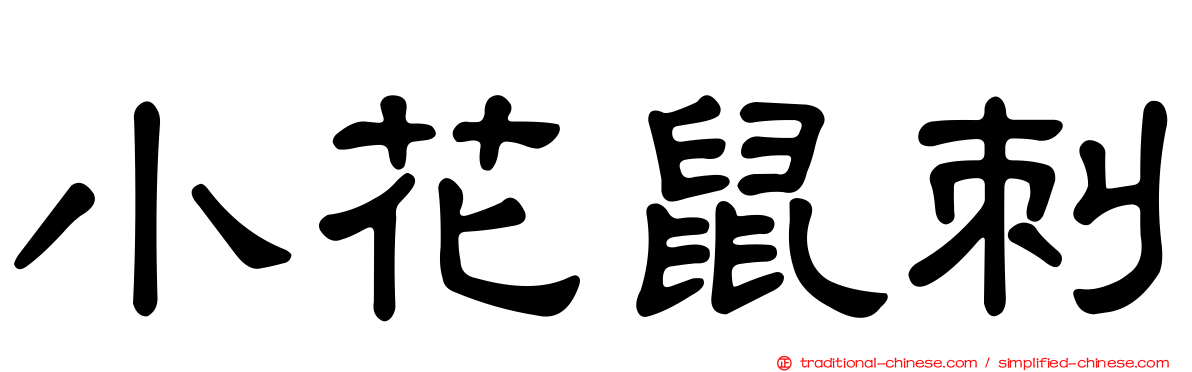 小花鼠刺