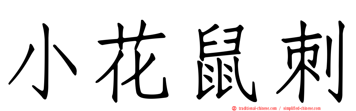 小花鼠刺